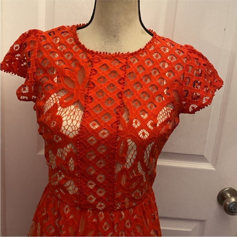 Parker Vibrant Red Lace Midi Dress, S - Picture 4 of 12